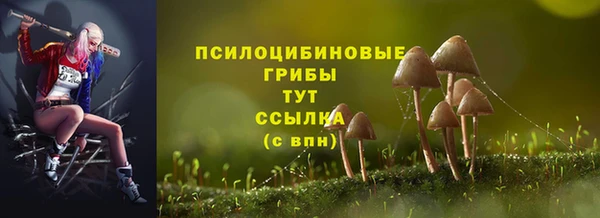 соль курить ск Арсеньев