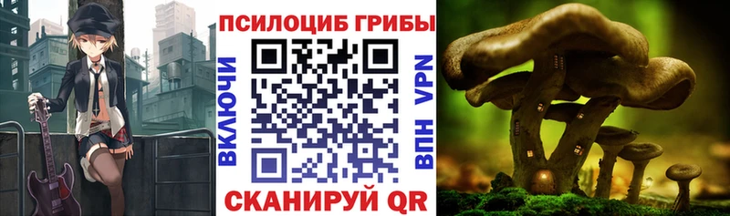 купить Уржум Псилоцибиновые грибы прущие грибы